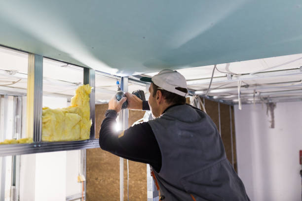 Best Insulation Maintenance and Repair in River Rouge, MI