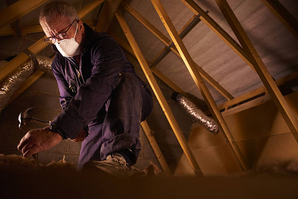 Best Residential Insulation in River Rouge, MI